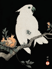 Косон Охара - Cockatoo with pomegranate