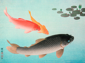Косон Охара - Common and Golden Carp