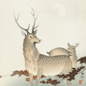 Косон Охара - Couple of deers
