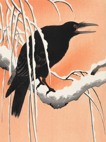 Косон Охара - Crow on snowy branch