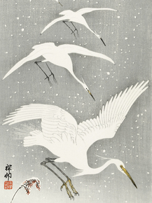 Косон Охара - Descending egrets in snow