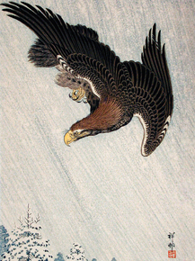 Косон Охара - Eagle Flying in Snow