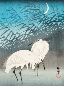 Косон Охара - Egrets and Reeds in Moonlight