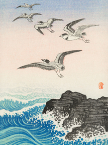 Косон Охара - Five seagulls above the sea Косон Охара - Five seagulls above the sea