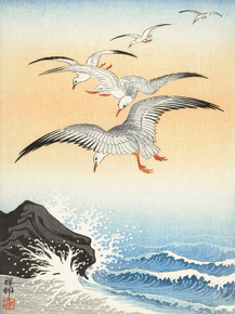 Косон Охара - Five seagulls above turbulent sea