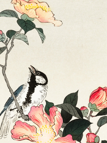 Косон Охара - Great tit on branch with pink flowers