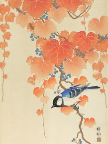 Косон Охара - Great tit on paulownia branch
