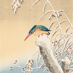 Косон Охара - Kingfisher in the snow