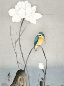 Косон Охара - Kingfisher with Lotus Flower
