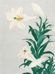 Косон Охара - Lilies, Ohara Косон Охара - Lilies, Ohara