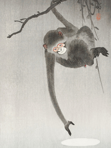 Косон Охара - Monkey and reflection of the moon