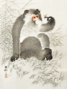 Косон Охара - Monkey with insect