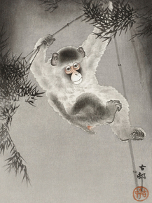 Косон Охара - Monkey, hanging from bamboo branch