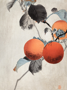 Косон Охара - Nuthatcher atop Persimmons