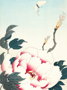 Косон Охара - Peony with butterfly Косон Охара - Peony with butterfly