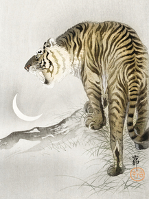 Косон Охара - Roaring tiger
