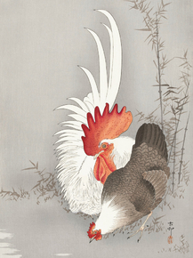 Косон Охара - Rooster and chicken