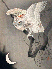 Косон Охара - Scops Owl in Moonlight