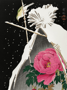 Косон Охара - Siberian bluechat next to a peony
