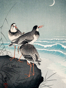 Косон Охара - Snipes at the Shore