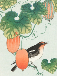 Косон Охара - Songbird in cucumber plant