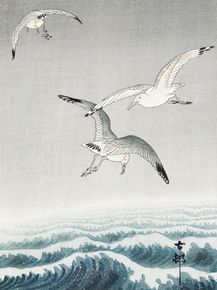 Косон Охара - Three seagulls