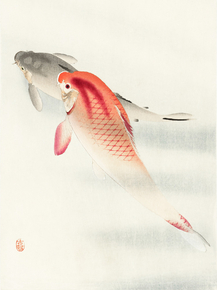 Косон Охара - Two carp