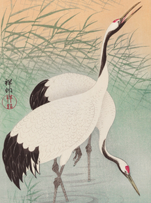Косон Охара - Two cranes
