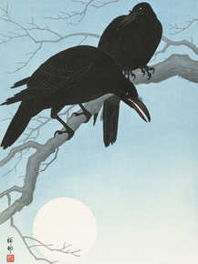 Косон Охара - Two crows on a branch