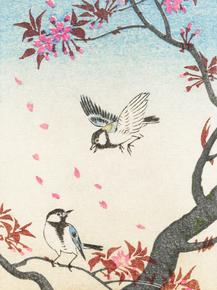 Косон Охара - Two great tits at blossoming tree