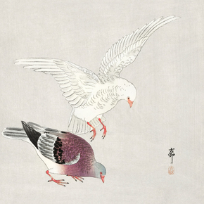 Косон Охара - Two pigeons Косон Охара - Two pigeons