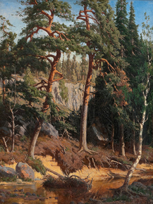 Fanny Churberg | Фанни Чурберг