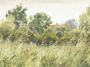 Skovgaard - Oat Field with Florals | Тамсен Сковгаард