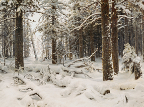 Shishkin Ivan | Шишкин Иван - Зима