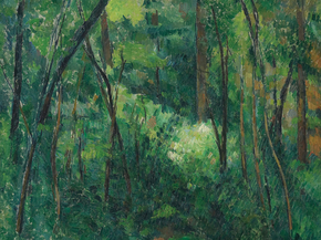 Cezanne Paul | Сезанн Поль - Интерьер леса