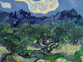 Van Gogh | Ван Гог - Оливковые деревья