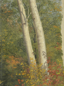 Frederic Edwin Church - Birch Trees in Autumn | Фредерик Эдвин Чёрч