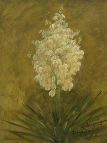 Frederic Edwin Church - Botanical Study, Jamaica | Фредерик Эдвин Чёрч Frederic Edwin Church - Botanical Study, Jamaica | Фредерик Эдвин Чёрч