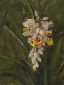 Frederic Edwin Church - Cardamum | Фредерик Эдвин Чёрч Frederic Edwin Church - Cardamum | Фредерик Эдвин Чёрч
