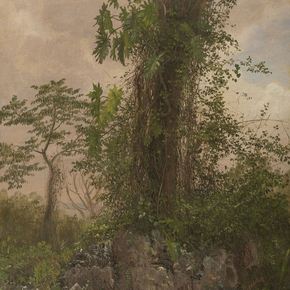 Frederic Edwin Church - Fig Tree | Фредерик Эдвин Чёрч Frederic Edwin Church - Fig Tree | Фредерик Эдвин Чёрч