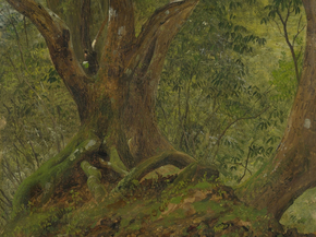 Frederic Edwin Church - In the woods, Jamaica | Фредерик Эдвин Чёрч Frederic Edwin Church - In the woods, Jamaica | Фредерик Эдвин Чёрч