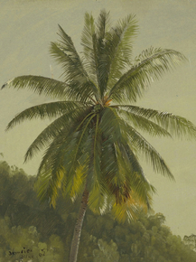 Frederic Edwin Church - Palm Trees, West Indies | Фредерик Эдвин Чёрч