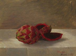 Frederic Edwin Church - The Pitajaya Fruit, Columbia | Фредерик Эдвин Чёрч
