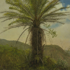 Frederic Edwin Church - Tree Fern, Jamaica | Фредерик Эдвин Чёрч