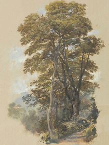 Edward Lear - Corpo di Cava, 28 June 1838 | Эдвард Лир