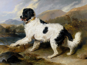 Edwin Landseer - Lion A Newfoundland Dog | Эдвин Ландсир