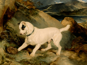 Edwin Landseer - Portrait of a Terrier | Эдвин Ландсир