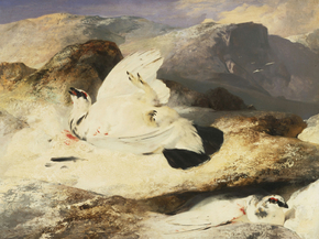 Edwin Landseer - Ptarmigan in a Landscape | Эдвин Ландсир