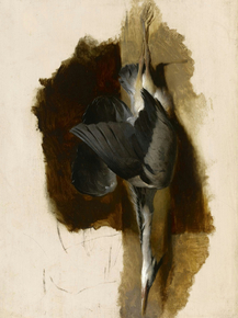 Edwin Landseer - Study of a Dead Heron | Эдвин Ландсир