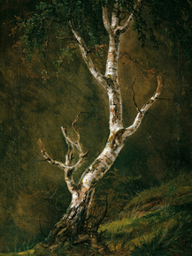 Johan Christian Dahl - Study of a Birch Tree | Юхан Кристиан Даль